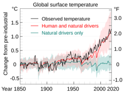 Global surface temperature 그래프